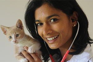 Equipe Vet Diagnosis